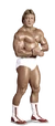 Paul Orndorff Full