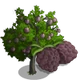 Sugar Apple Tree-icon
