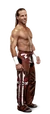 Shawn Michaels Full