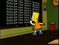 Goldfish dont bounce