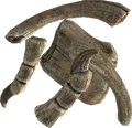 TESV Dragon Bone.png