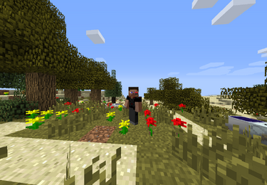 Cultivated desert