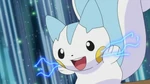 EP624 Pachirisu de Dawn