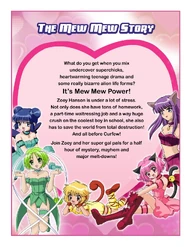 MMP Series Summary