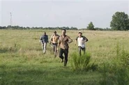 Rick, Glenn, Shane, T-Dog