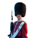 Item royal guard 01.png