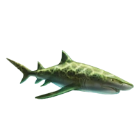 Huge item lemonshark 01