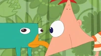 Phineas looking at Perry