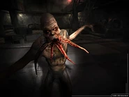 Stalker2