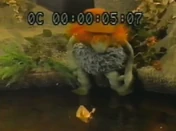 BooberUnairedFraggleRockIntro2