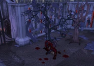 Darkmeyer bloodwood tree