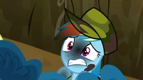 Medium rare Rainbow Dash S2E21