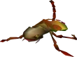Bizarre Bug FF7
