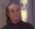 Phlox, 2165.jpg