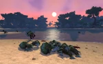 KrasarangWilds6