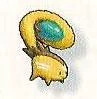 Nyo