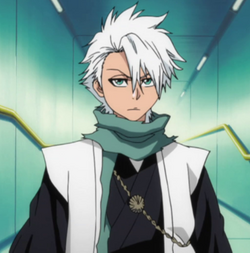 Hitsugaya nuevo perfil2.png