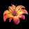 Inx Orange Lily