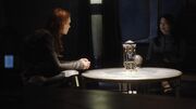 Ginn interview