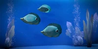 Prejek Paddle Fish