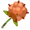 Dendron Flower