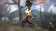 Wo3-dlc010-03