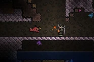 Angler Fish Fail