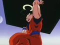 Dbz6ep250