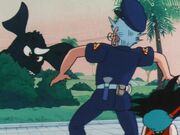 Dragonball baragon
