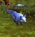 CorsacFox.jpg