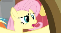 Fluttershy "Dragons" S02E21