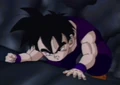 Gohan hrut by godgenon