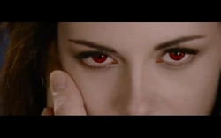 Bellavampire