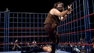 Steel Cage Images.12