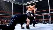 Steel Cage Images.19