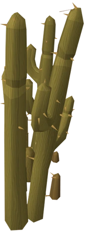 Alkharid cacti