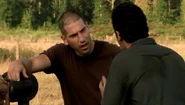 Shane 1