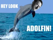 Hey-look-adolfin382