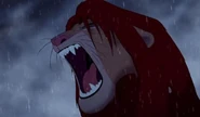 RRRRoaaarrr