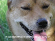 Dog Len