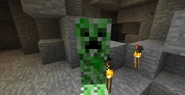 Creeper In Cave