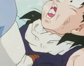 Kid gohan6