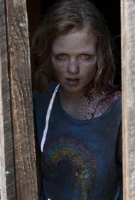 Zomphia Peletier.jpg