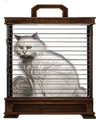 White-cat-lrg.png