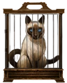 Siamese-cat-lrg.png