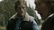 Cat wesen