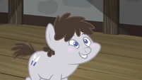 Truffle Shuffle smiling more S2E23