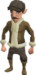 Gnomecoach