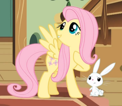 250px-Fluttershy_talking_to_Angel_S01E22.png