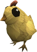 Chick